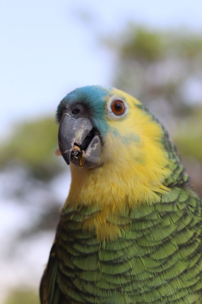 Photograph by Pablo Ezequiel Desima Teseira