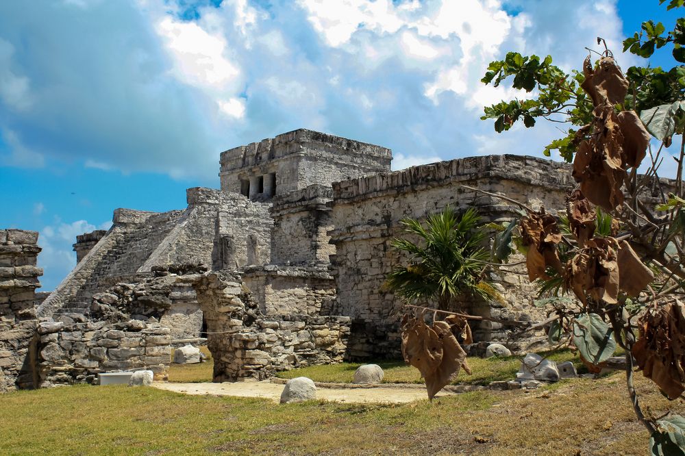 Photograph by Olinda Garcia Favre