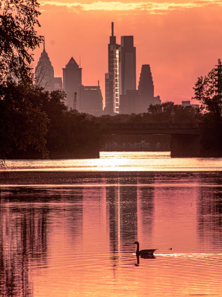 Photograph by Alisa Bryz-Gornia