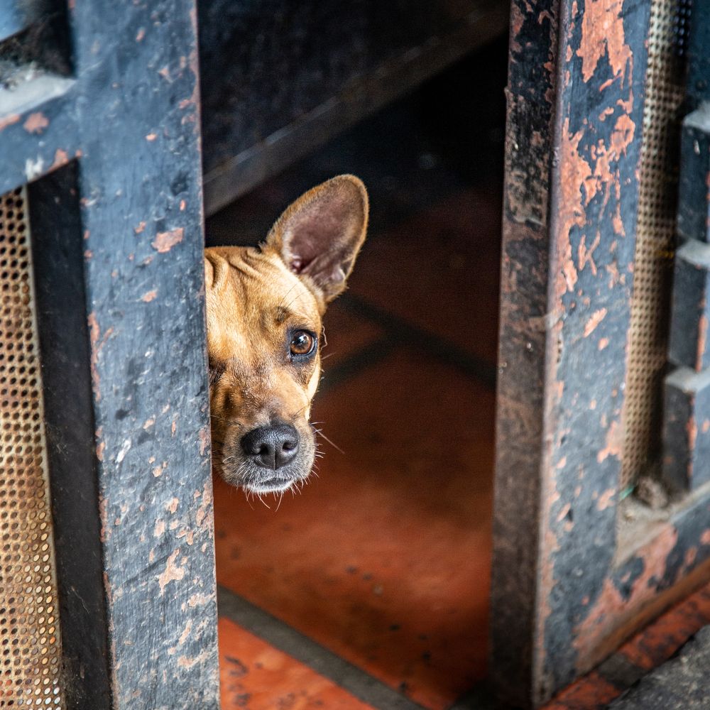 Photograph by Dzintra Zvagina