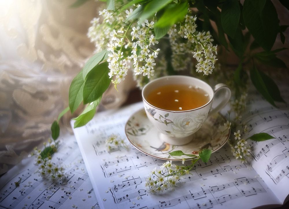 Мелодия весны