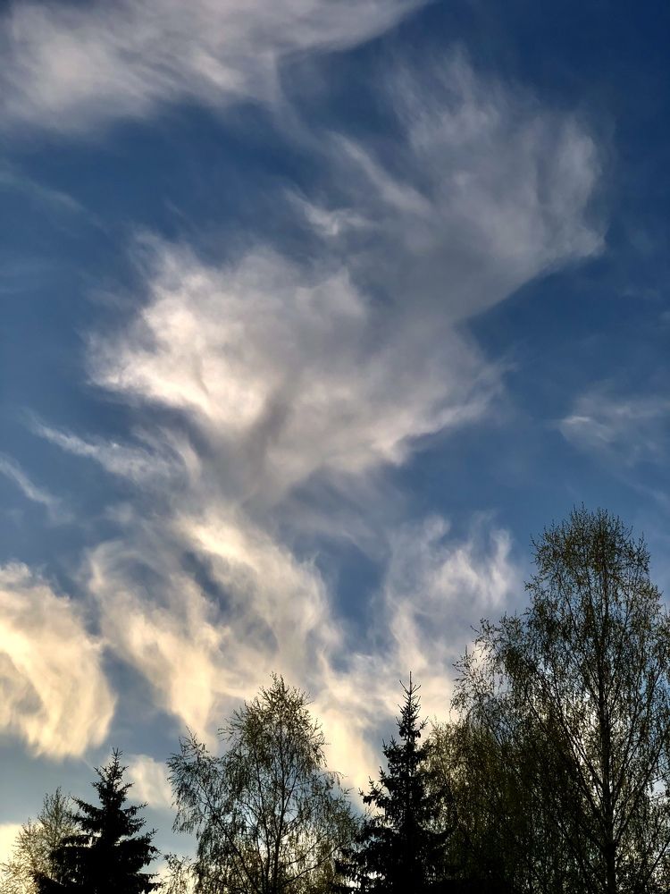 Photograph by Юлия Отставнова