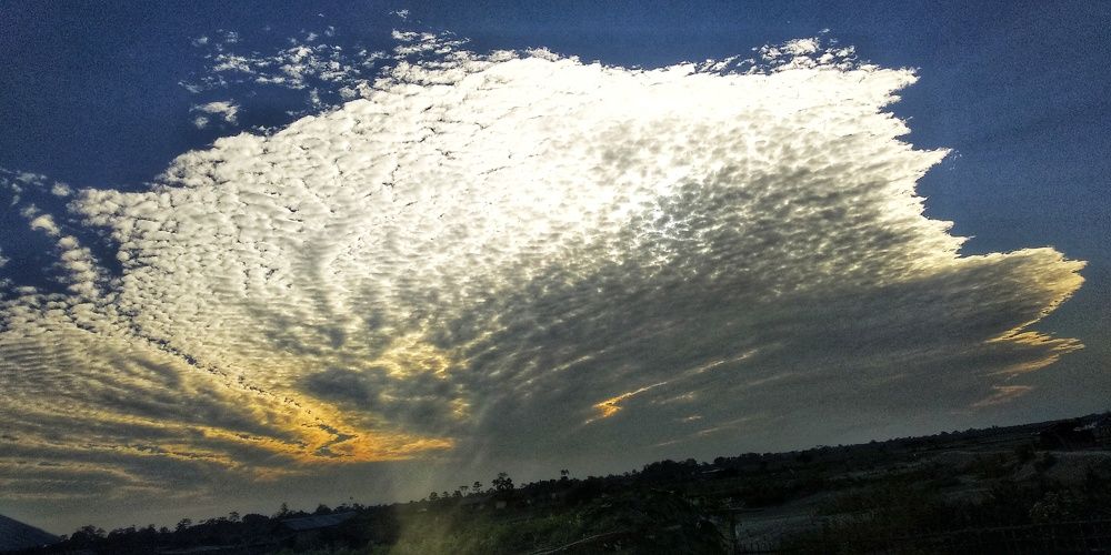 Photograph by Monuj Kr Dutta