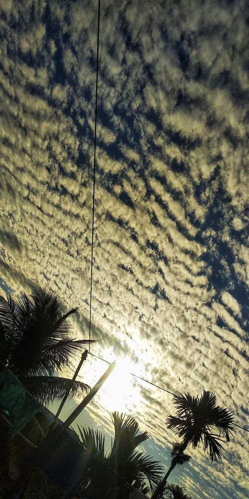 Photograph by Monuj Kr Dutta