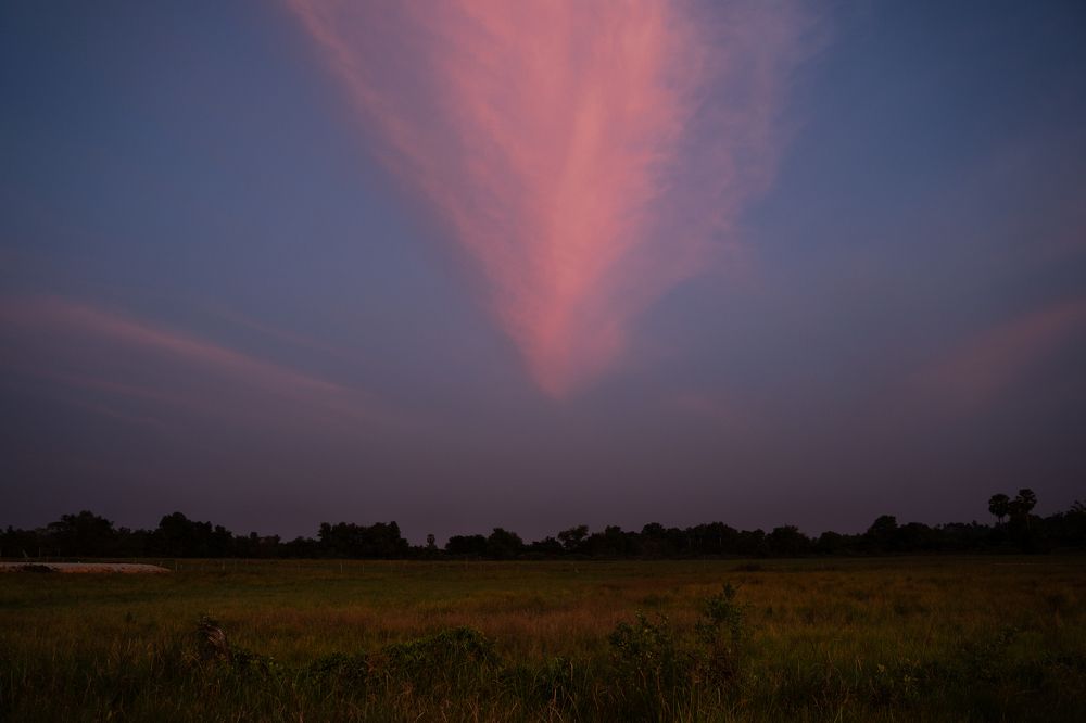 Фотография автора Mohammad Saifullah