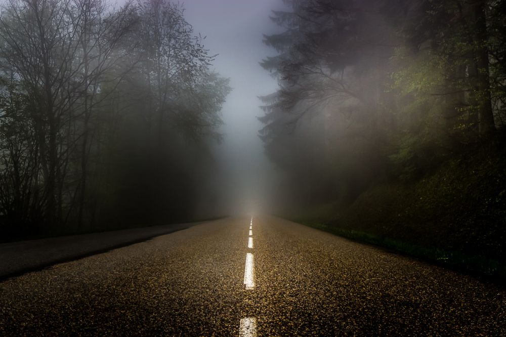Foggy road