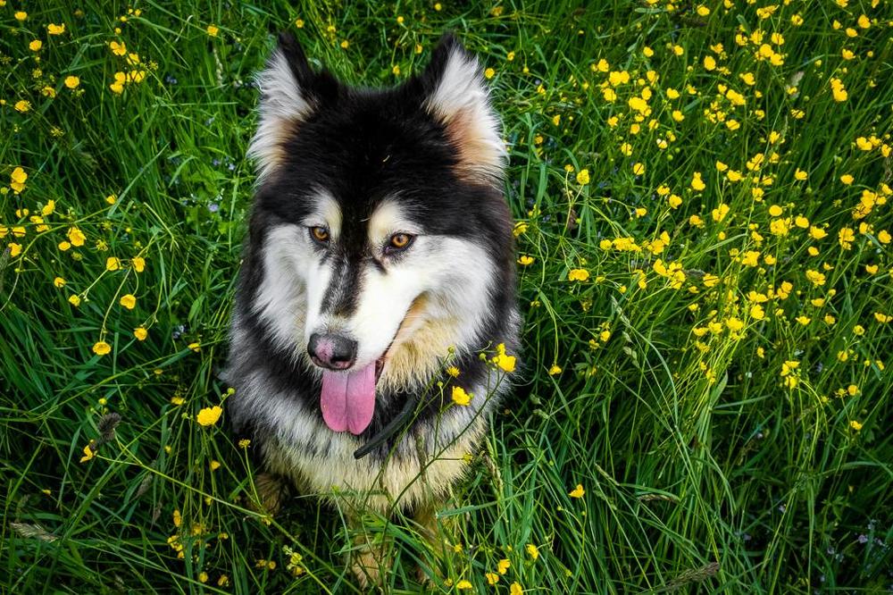 Фотография автора Маргарита Басова