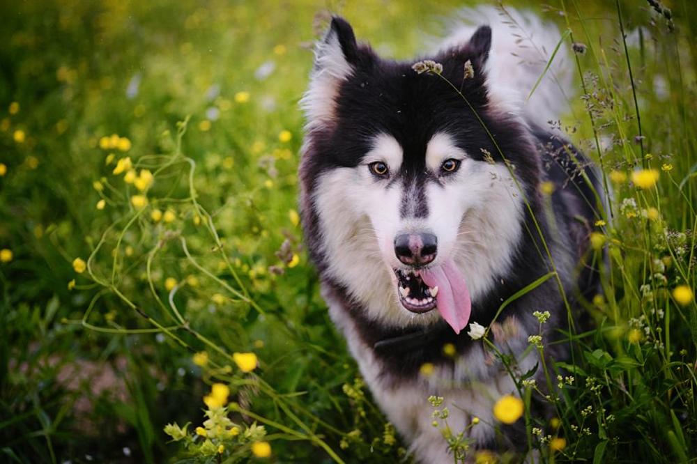 Фотография автора Маргарита Басова