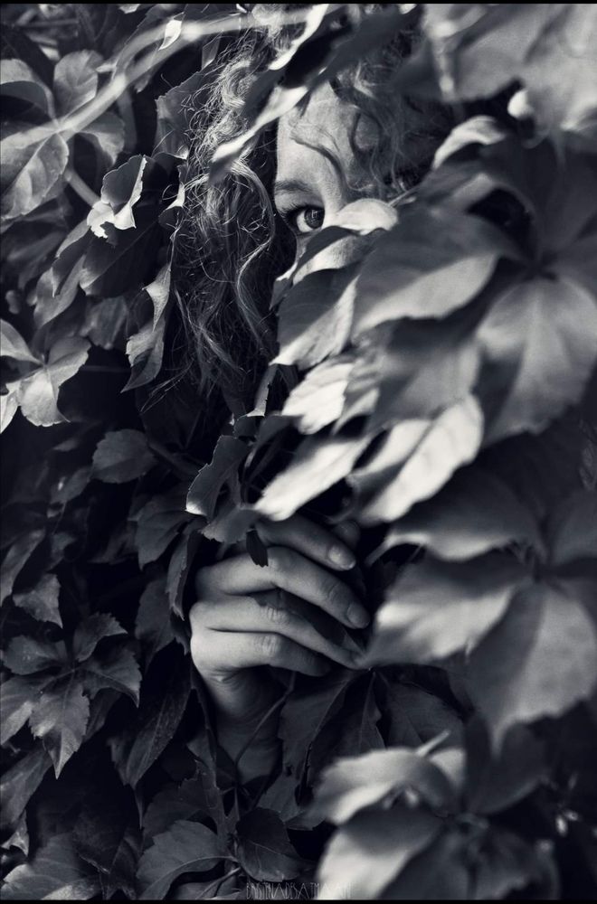 Leaves eyes