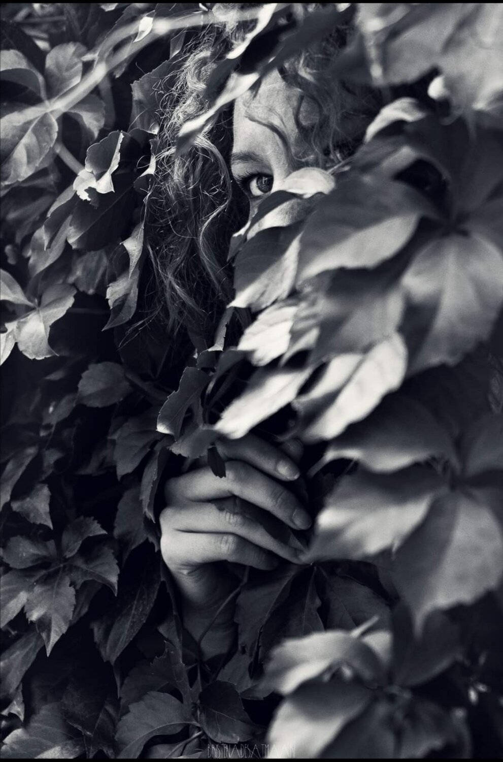 Leaves eyes