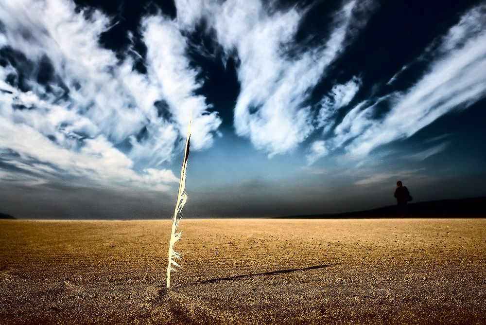 Все во мне и я во всем...