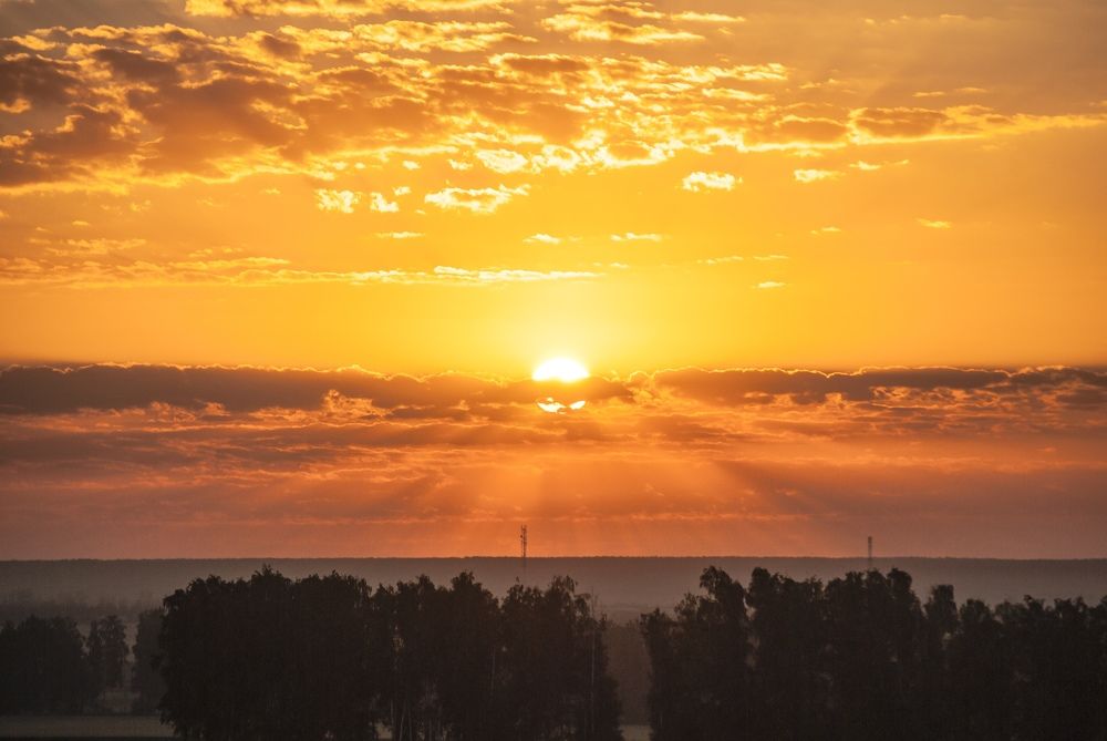 Фотография автора Алексей Самойлов