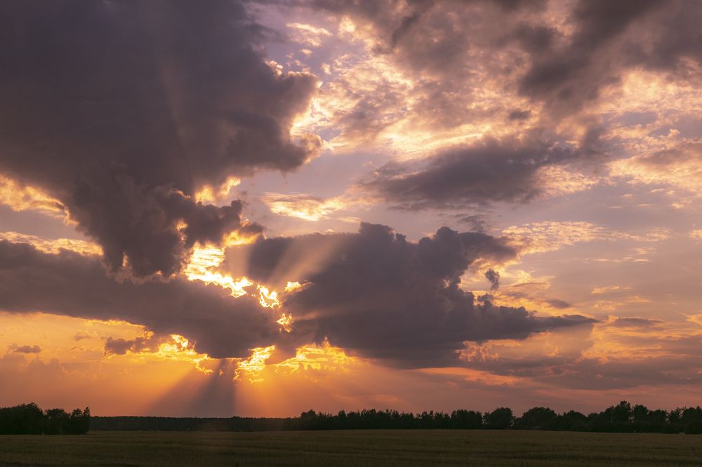 Фотография автора Ольга Никанович