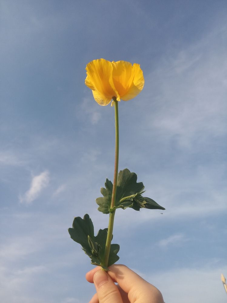 Photograph by Sagadat Tolembay