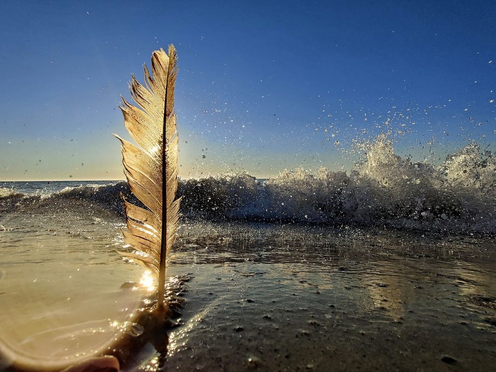 Photograph by Юлия Федорова