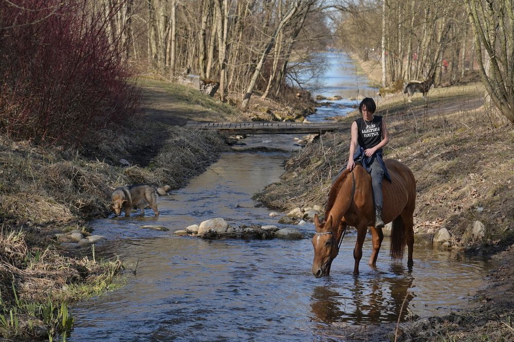 Photograph by Владимир Столяров