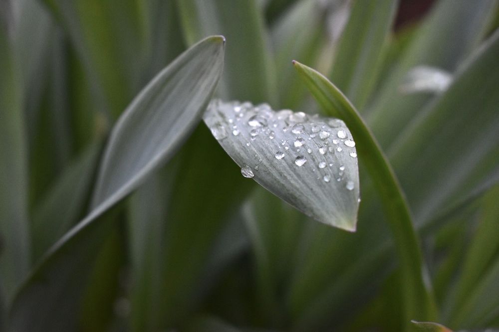 Photograph by Екатерина Бондаренко