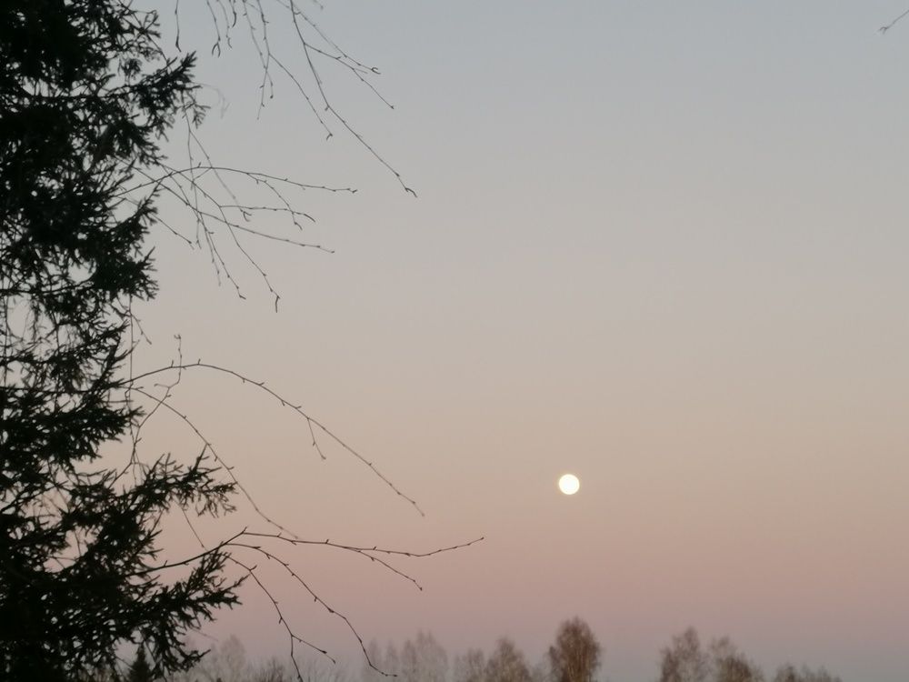 Photograph by Дарья Ермакова