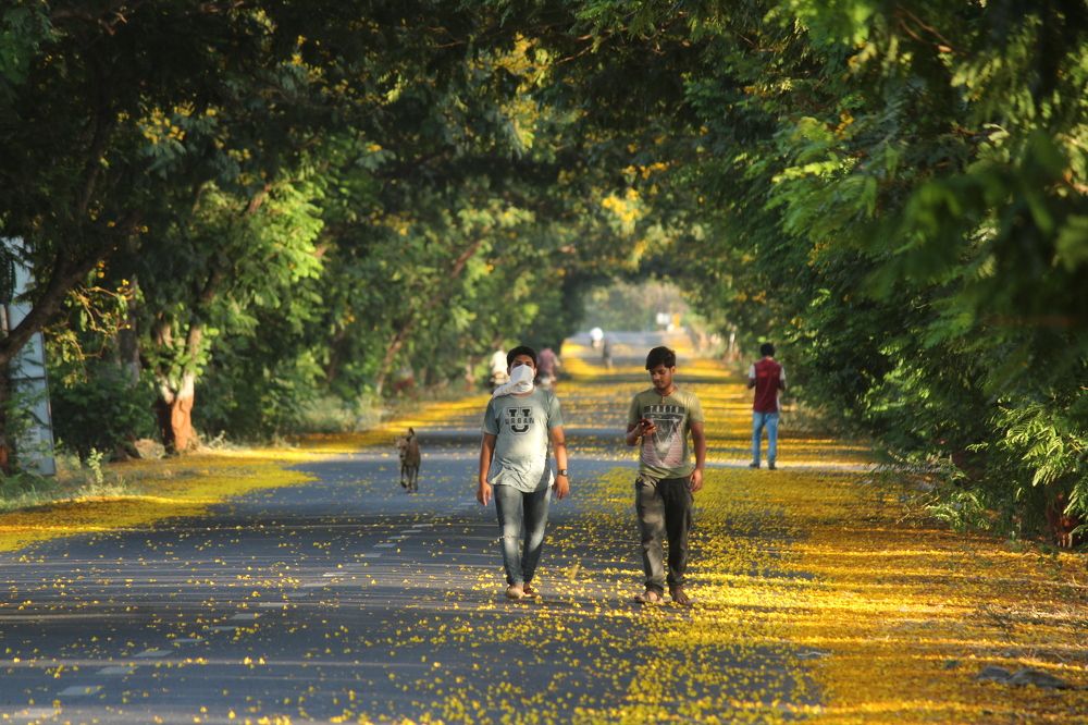 Photograph by Sharad vadoliya