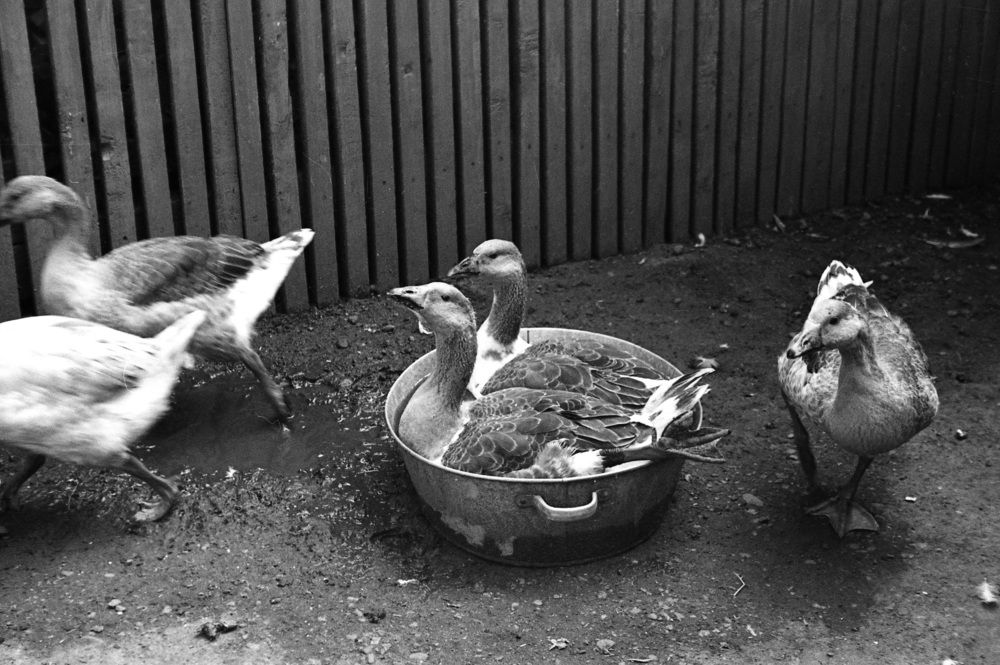 Время купания вышло, детки...! Пора спать...!