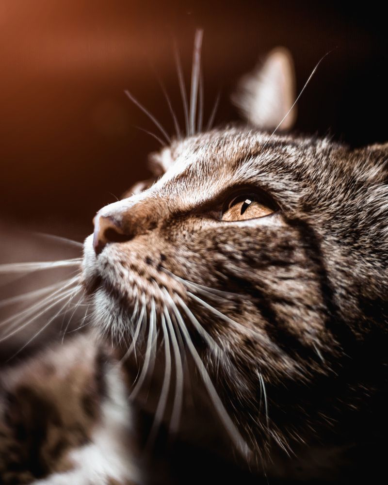 Photograph by Егор Синицын