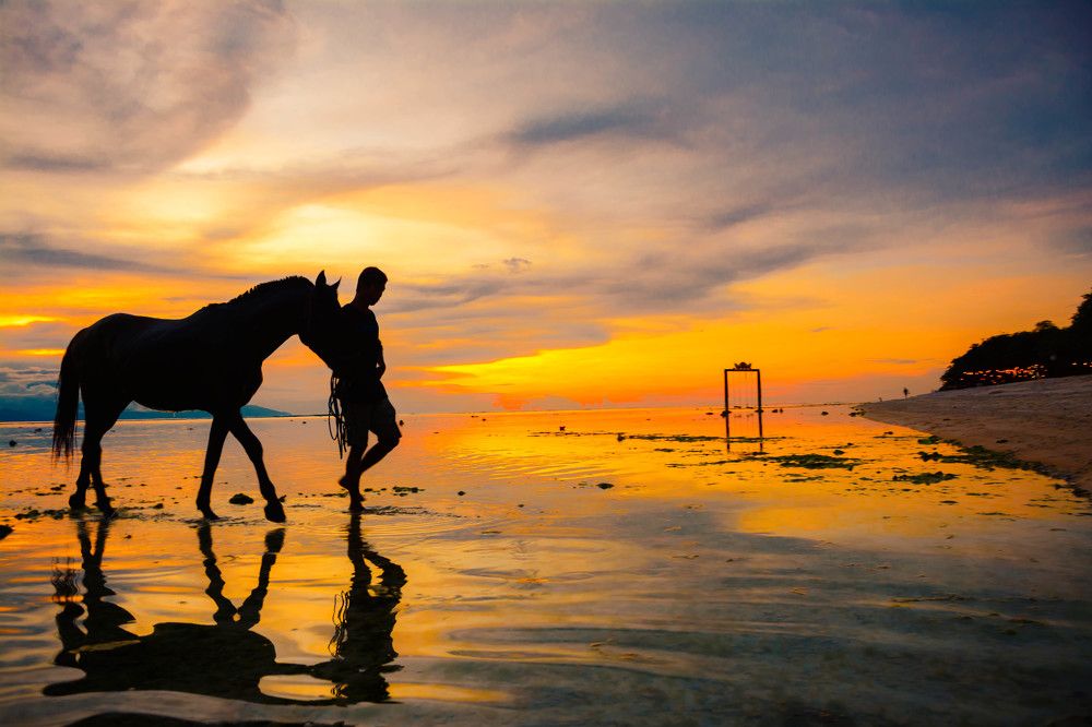 Walking together through dusk
