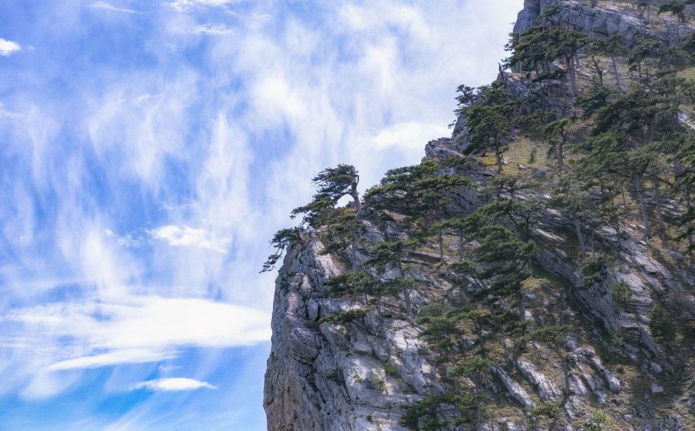 Photograph by Николай Ковтун