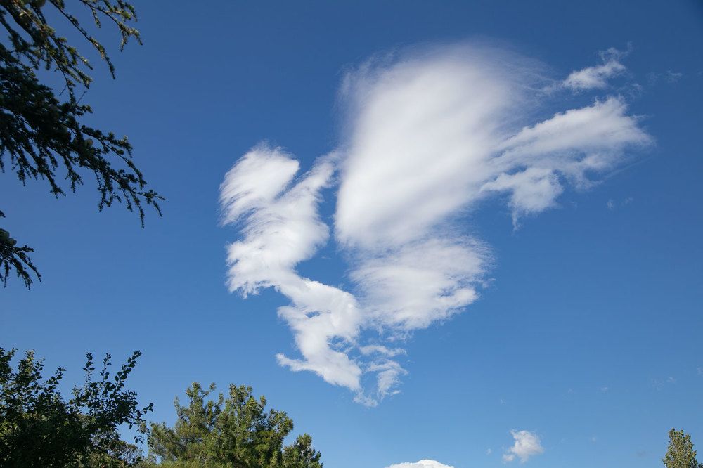 Photograph by Николай Ковтун