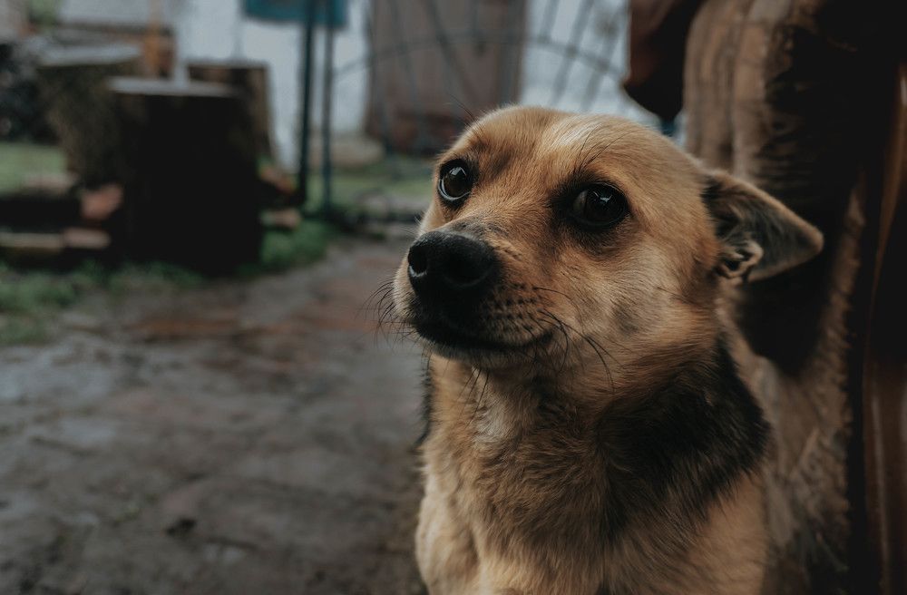 Photograph by Евгения Ершова