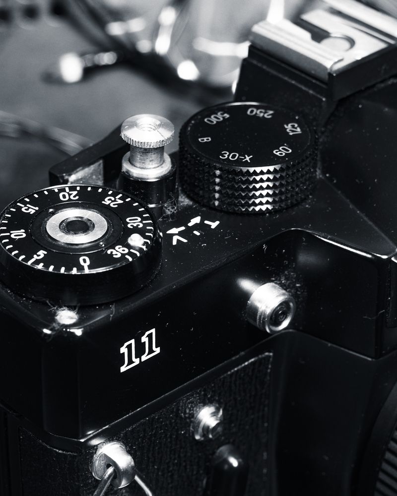 Photograph by Антон Синица