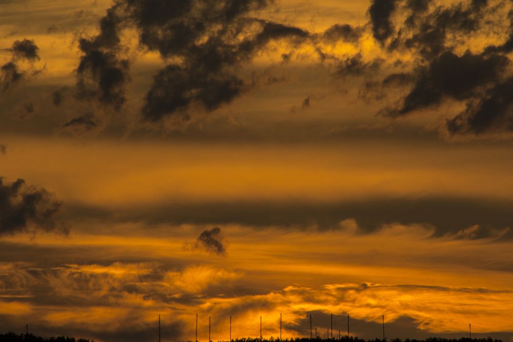 Photograph by Николаева Светлана