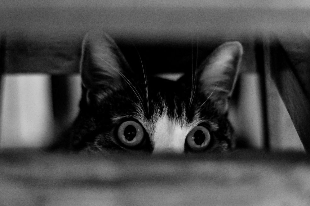 Photograph by Катерина