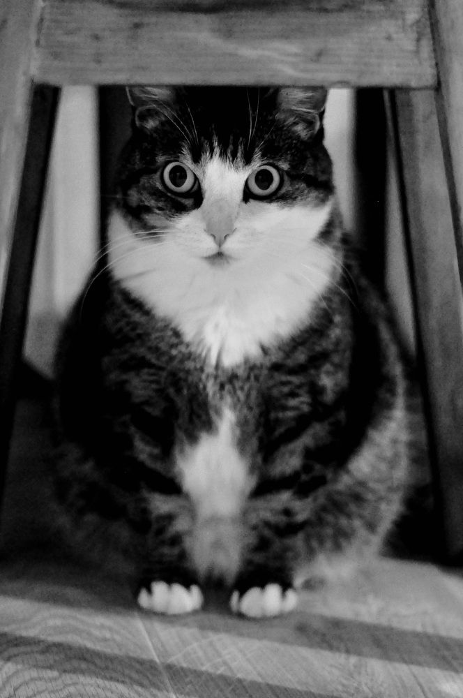 Photograph by Катерина