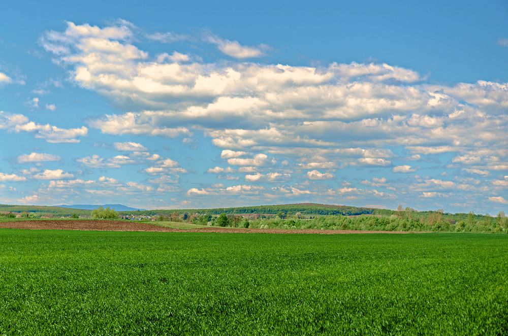 Photograph by Евгений Хитрук
