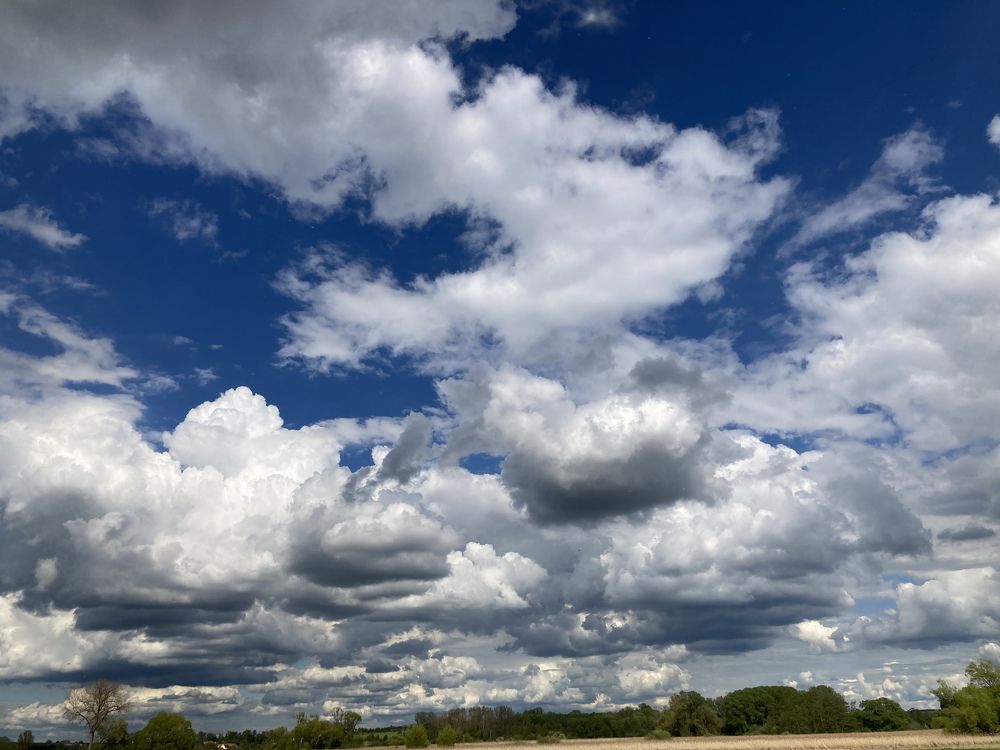 Photograph by Лена Гобена