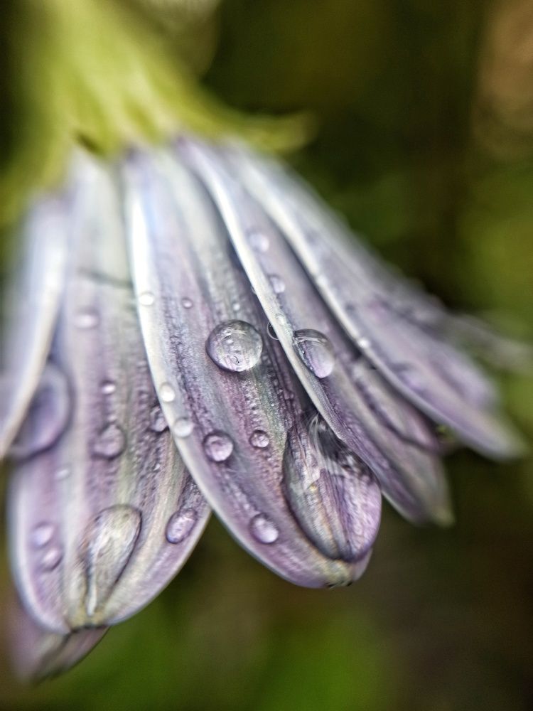 Photograph by Валентина Шевченко