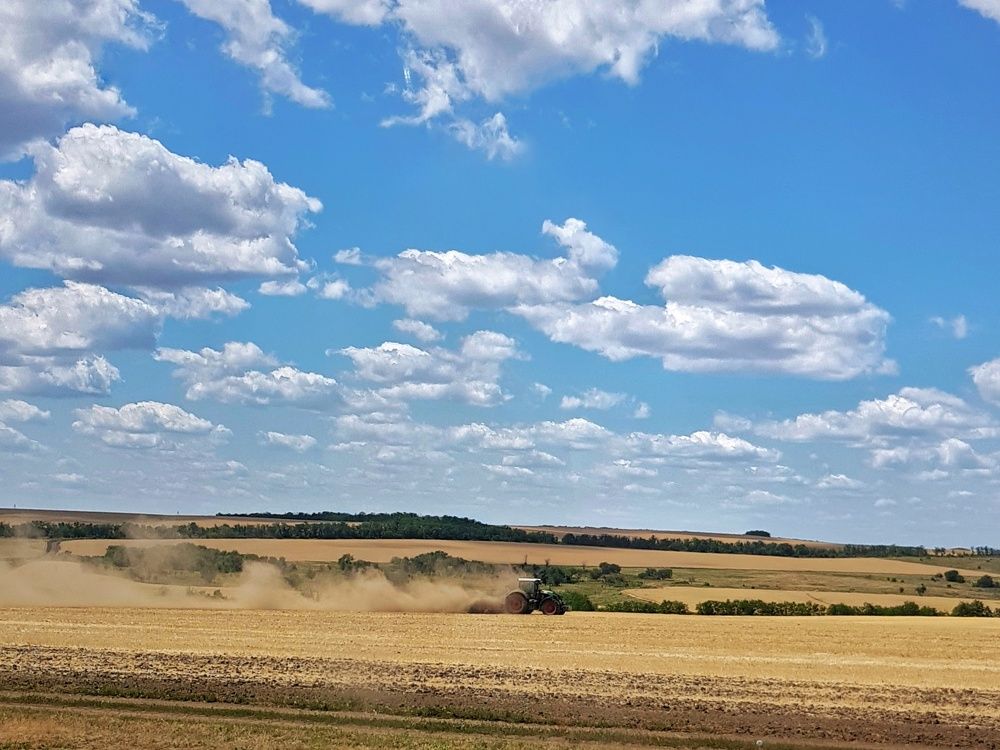 Заяц в небе