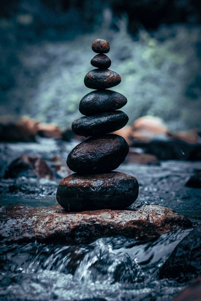 Photograph by GIRINATH M