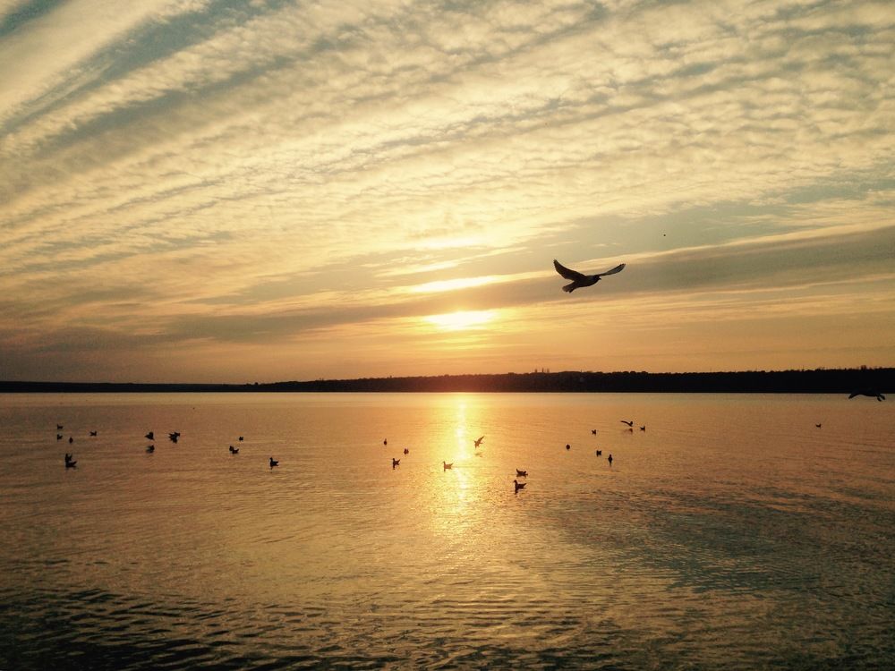 Photograph by Maryna Hedegaard