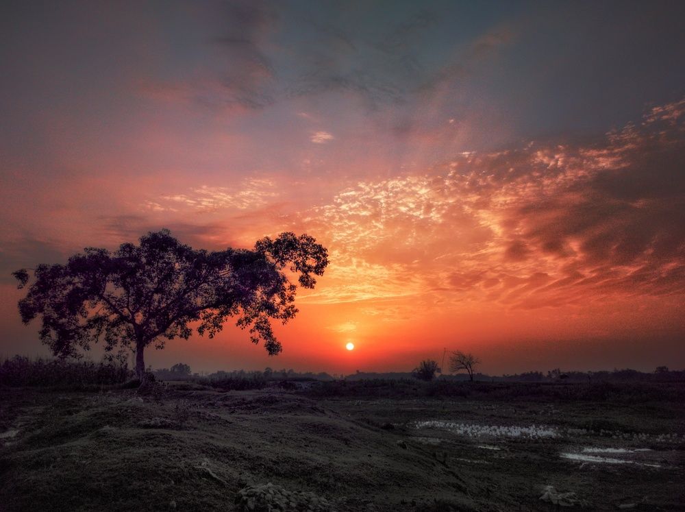 Photograph by pradiptamoy paul