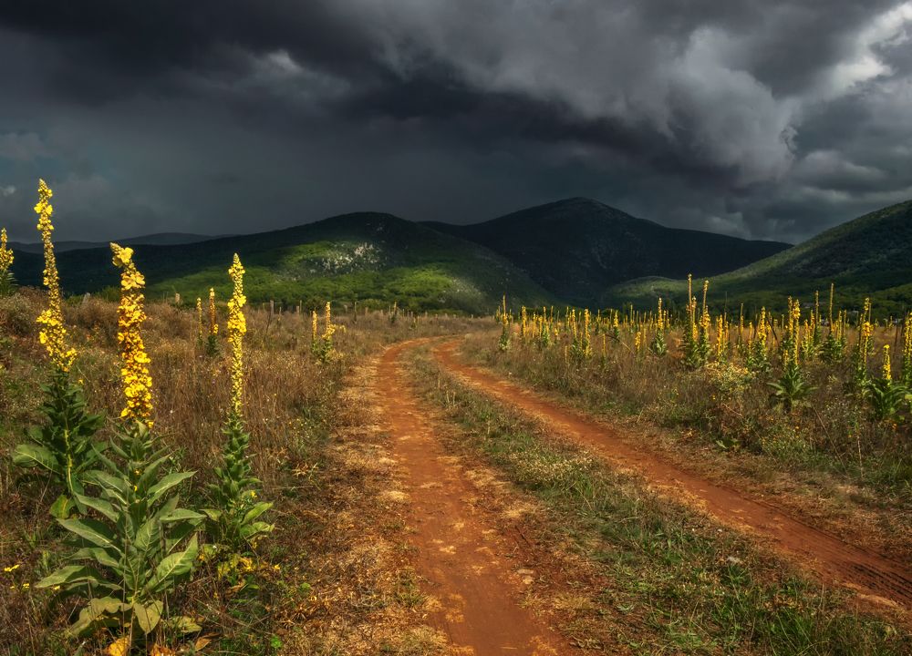 Photograph by Евгения Ботова