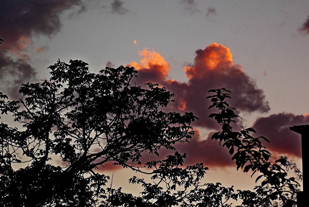 ОБЛАКА  ЗАКАТНЫЕ...