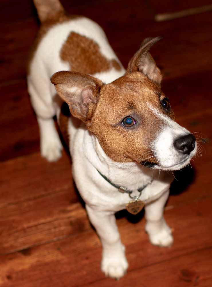 Photograph by Владимир Ашкинази-Исаченко