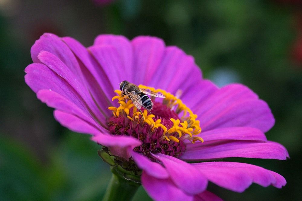 Photograph by Yroslava Veretina