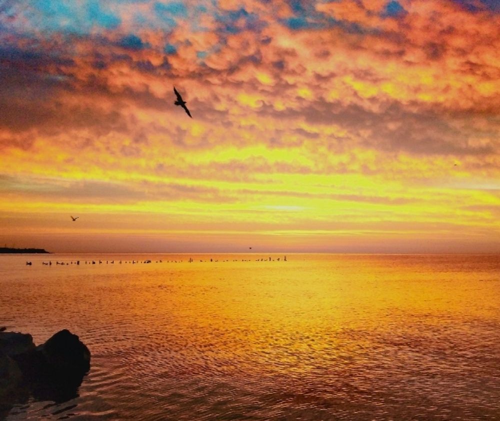 Photograph by Анна Гросу