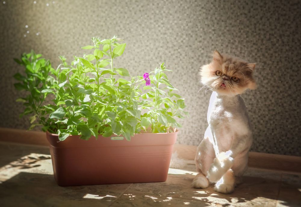 Photograph by Оксана Таибова