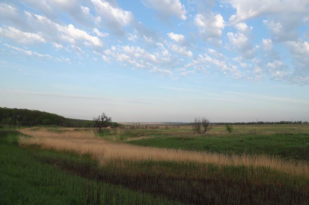 Фотография автора Яна Чхан