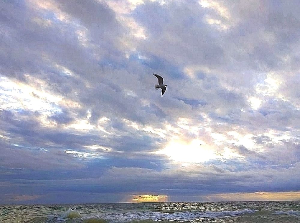 Photograph by Анна Гросу