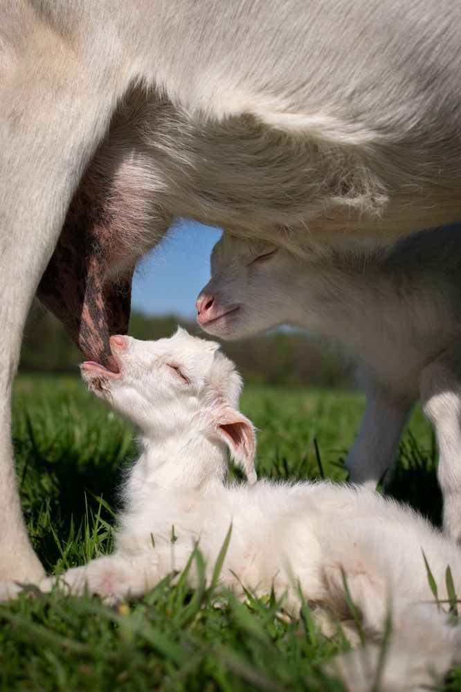 Photograph by Татьяна Ясинская