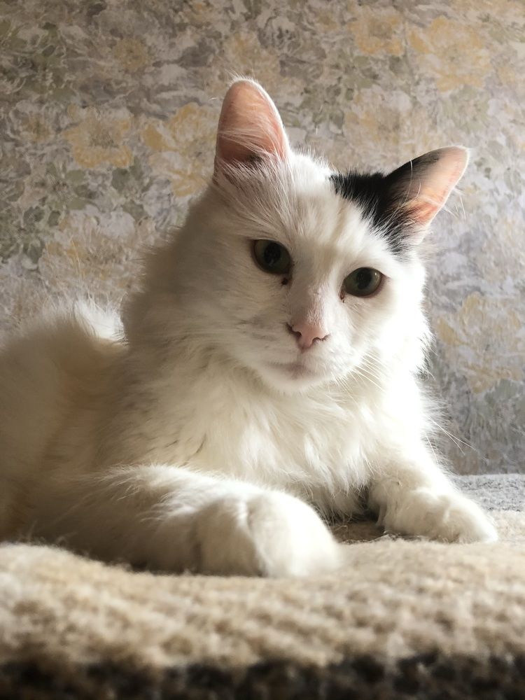 Photograph by Maryna Hedegaard